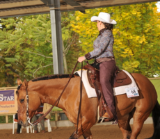 Novice Amateur Horsemanship