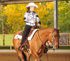 Amateur Horsemanship